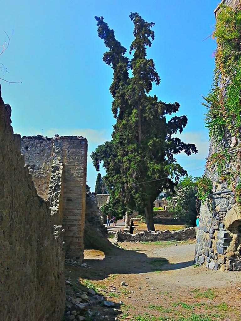 II.5 Herculaneum, photo taken between October 2014 and November 2019.
Looking south across atrium towards II.3. Photo courtesy of Giuseppe Ciaramella.